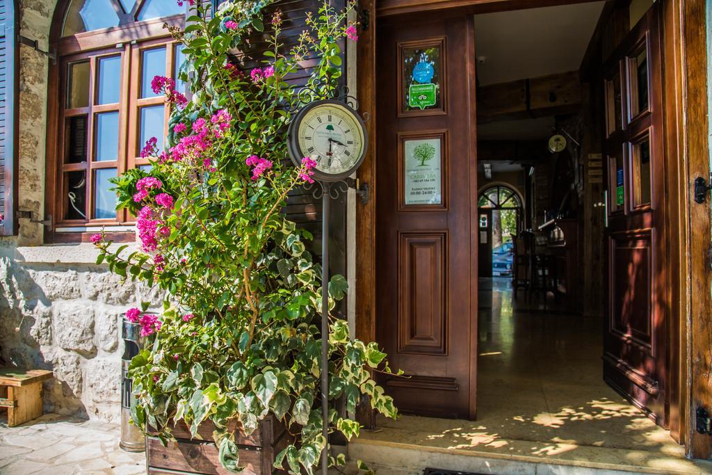 Hotel Carrubba Donja Lastva Bagian luar foto